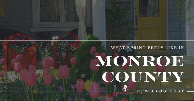 What Spring Feels Like in [Your Neighborhood/City]